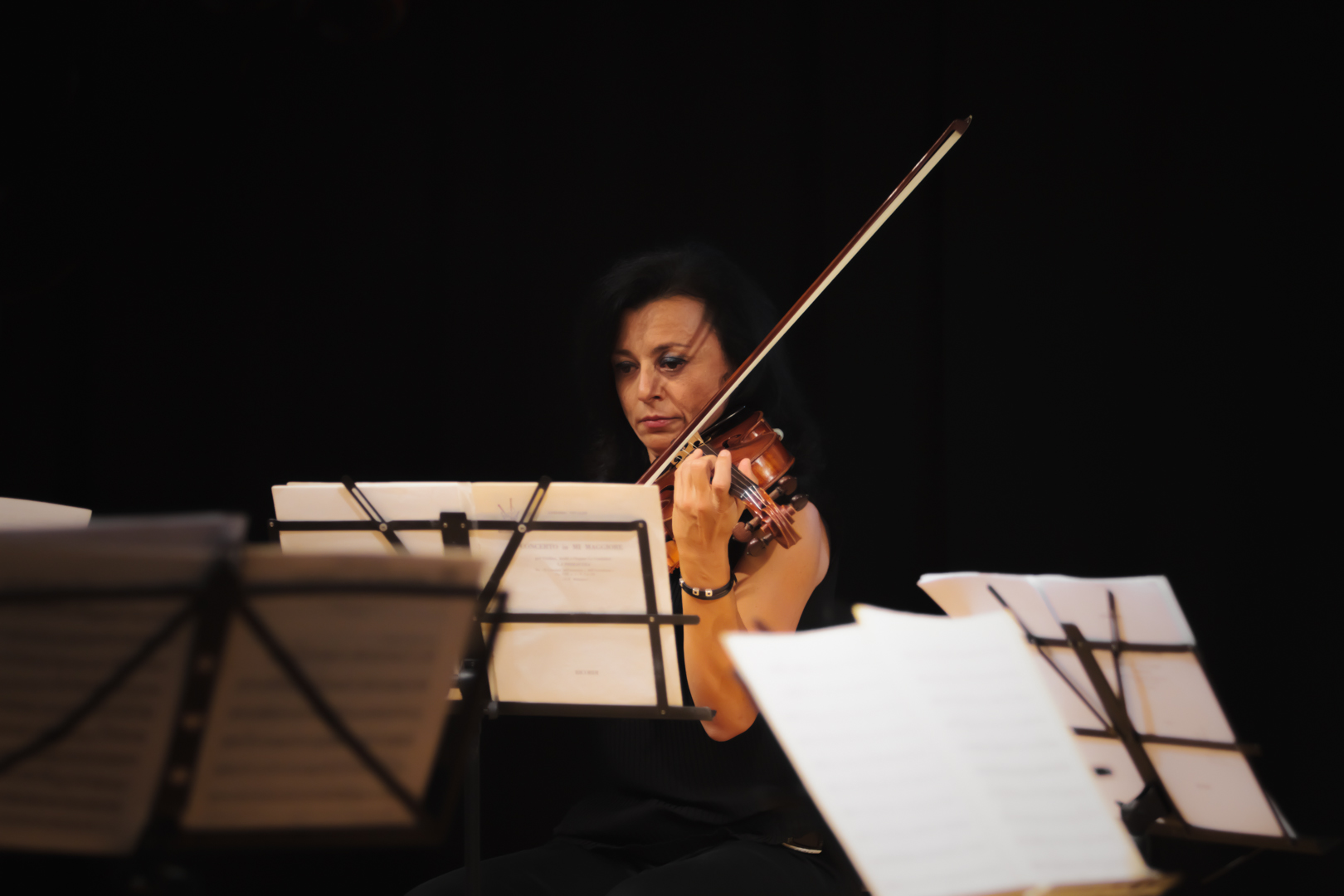 ppoesia musica natura zocca poesia festival ’18 © Fiorenza Zoboli ppoesia musica natura zocca poesia festival ’18 © Fiorenza Zoboli