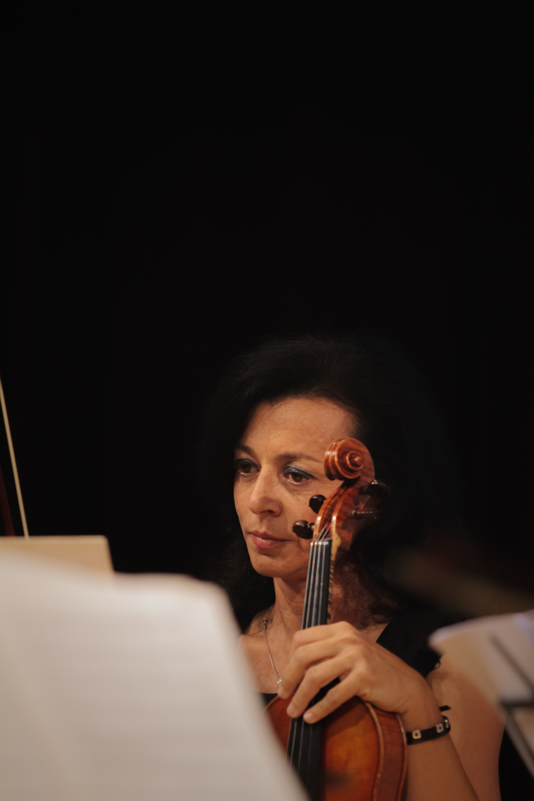 poesia musica natura zocca poesia festival ’18 © Fiorenza Zoboli poesia musica natura zocca poesia festival ’18 © Fiorenza Zoboli