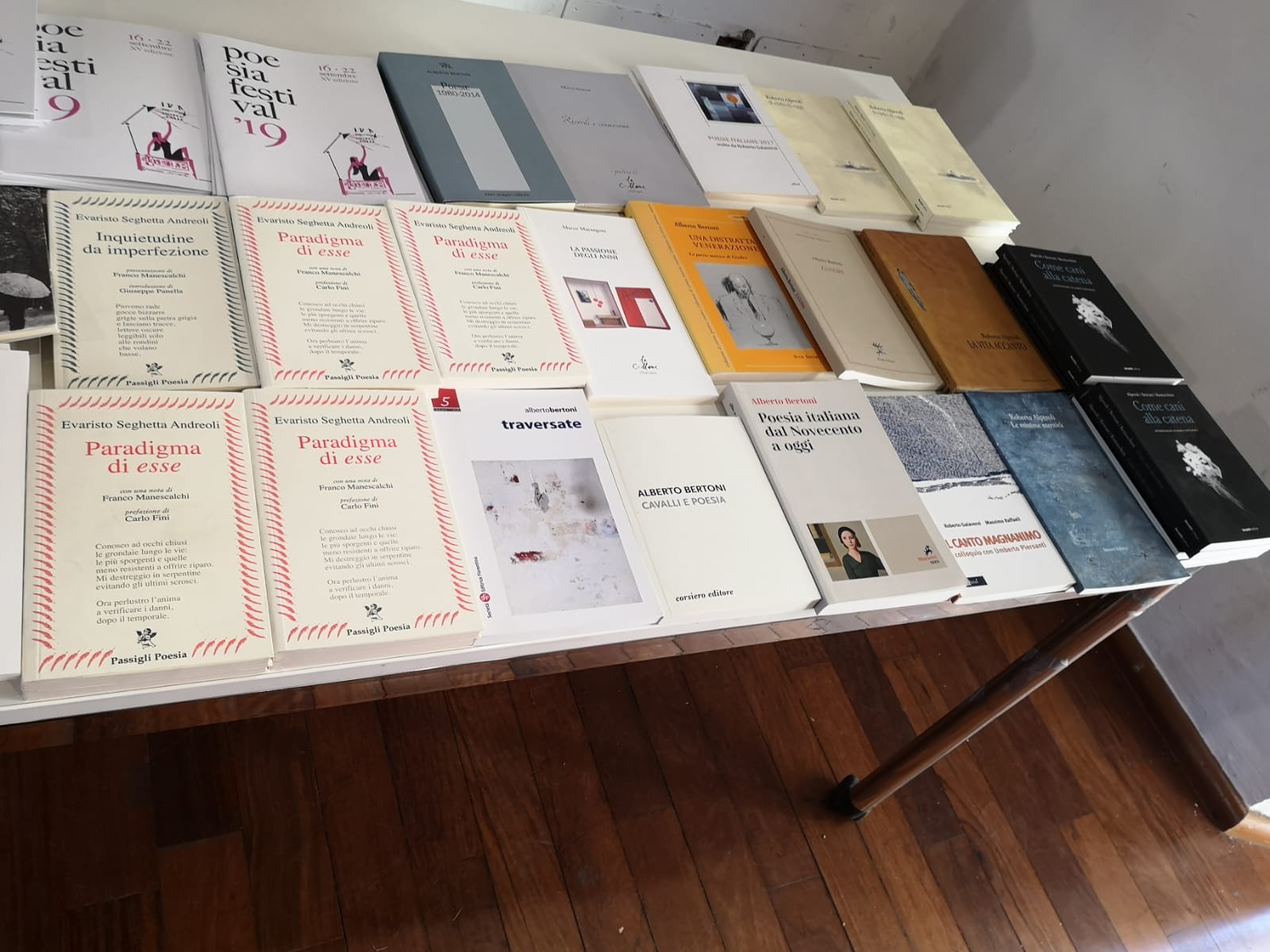 cantiere poetico modena biblioteca delfini poesia festival 2019 (3)