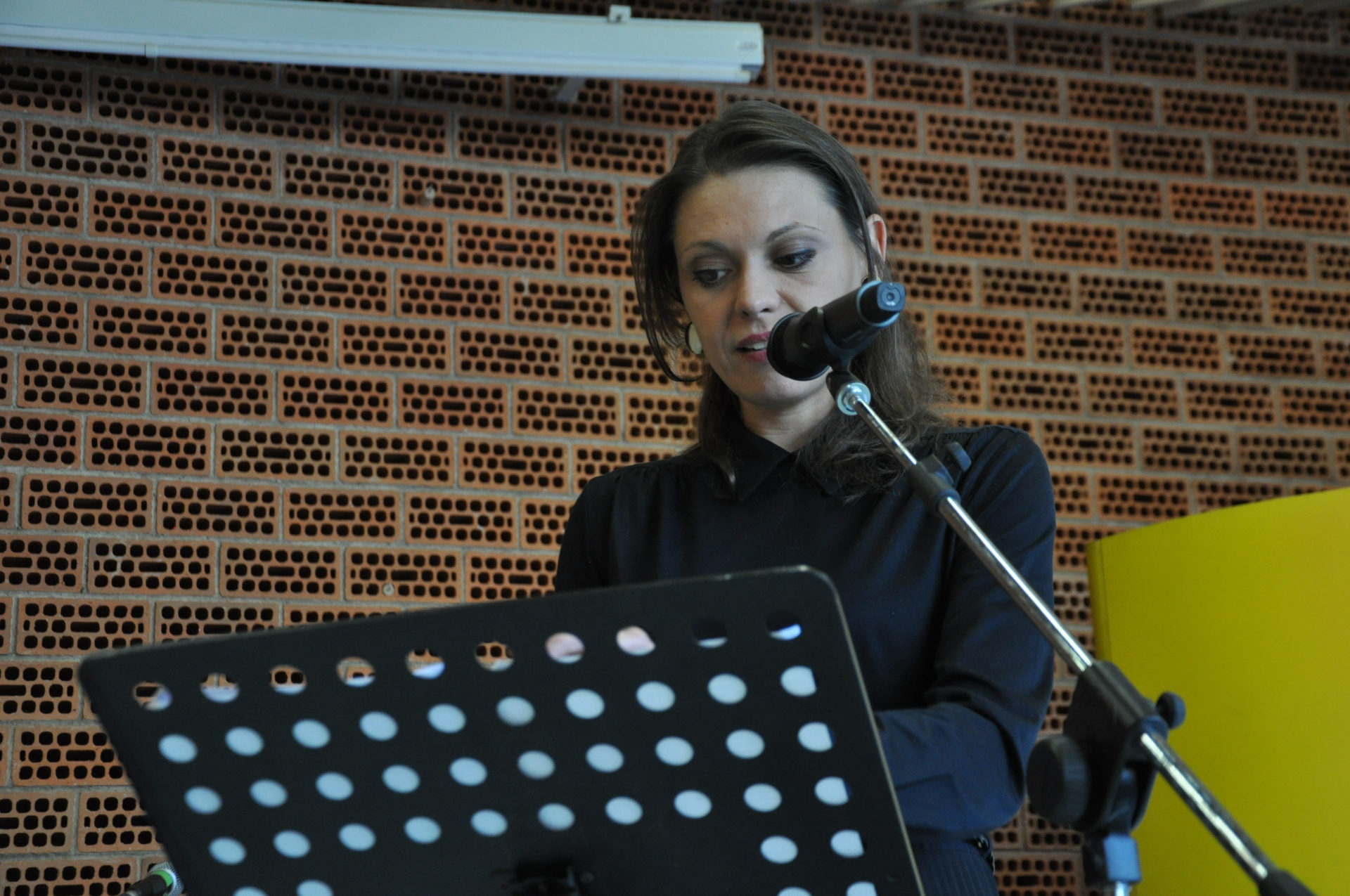 donatella allegro castelnuovo rangone poesia festival 2019 modena 2