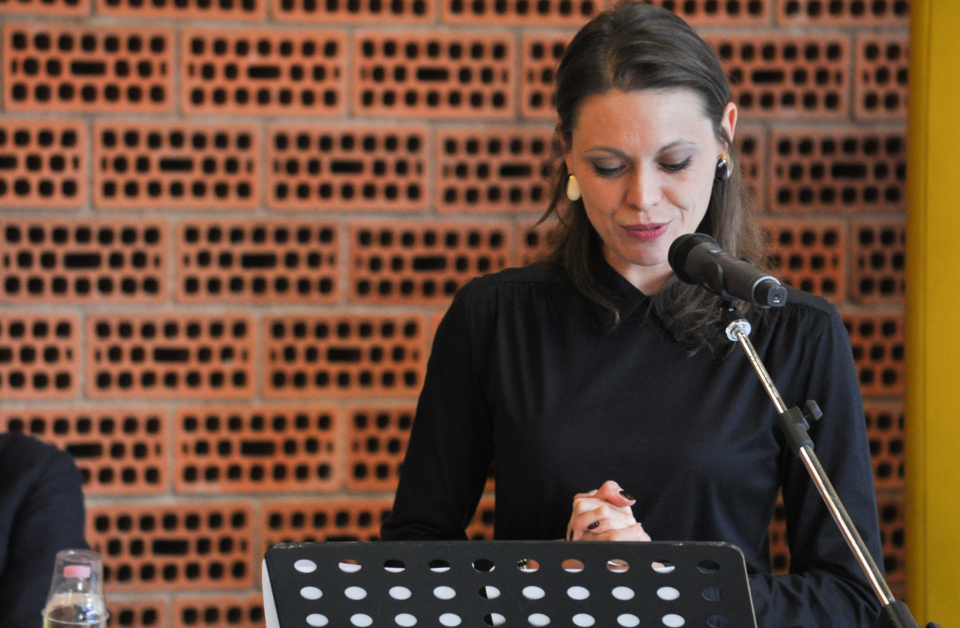 donatella allegro castelnuovo rangone poesia festival 2019 modena 3