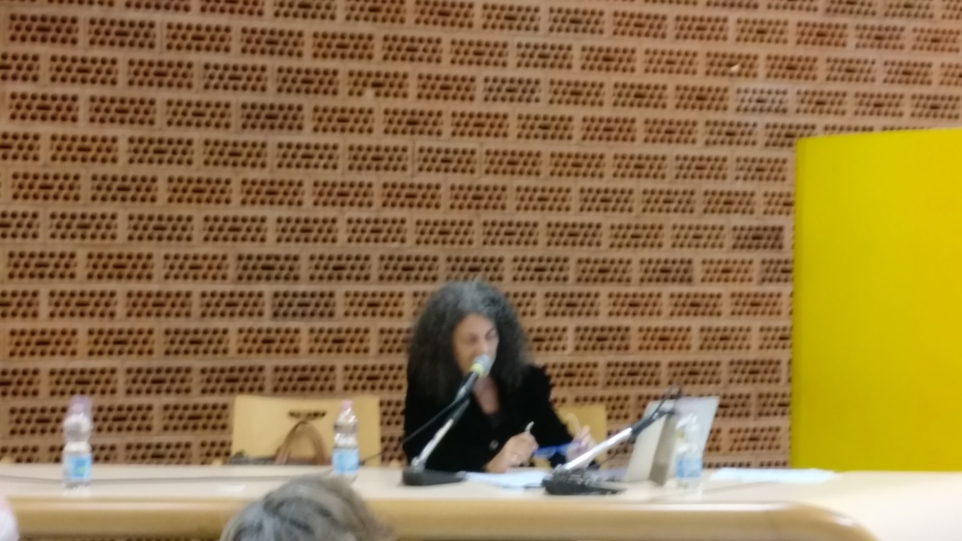 maria grazia calandrone castelnuovo rangone poesia festival 2019 modena