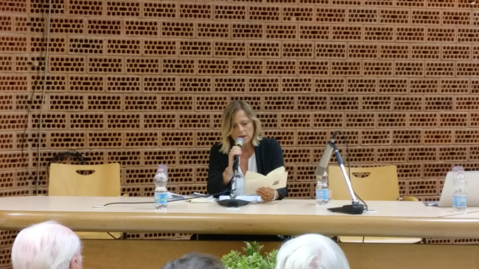 maria luisa vezzali castelnuovo rangone poesia festival 2019 modena 4