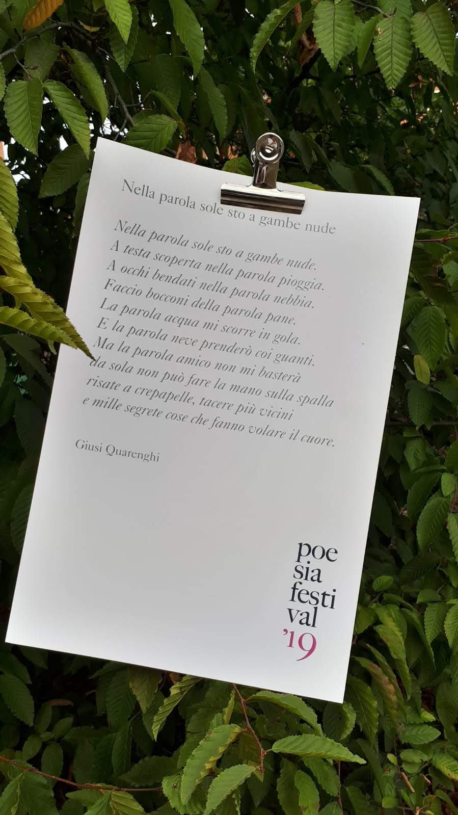 pensiero imprigionato savignano sul panaro poesia festival 2019 modena 14