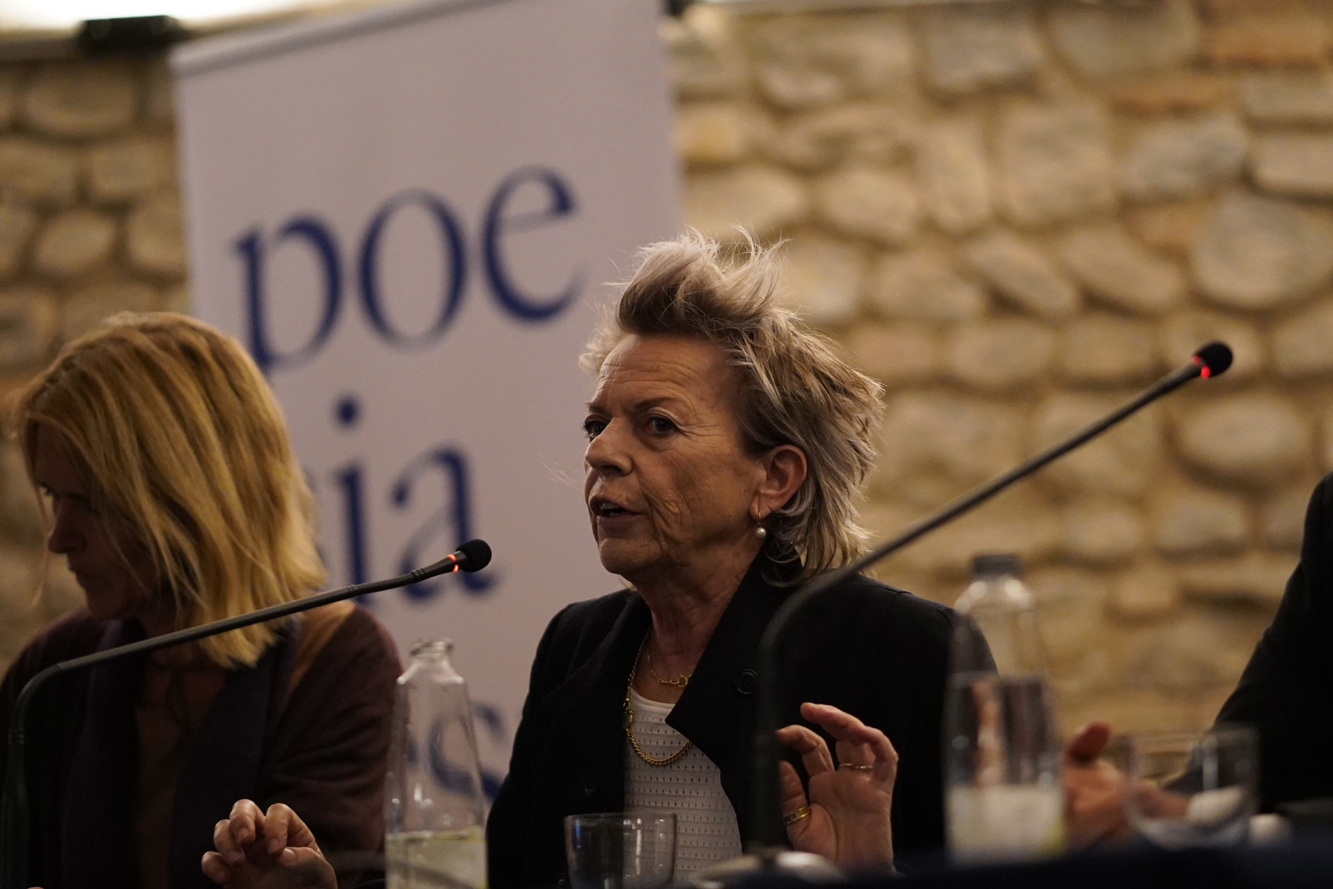 tu l’hai detto connie palmen vignola poesia festival 2019 modena 4 tu l’hai detto connie palmen vignola poesia festival 2019 modena 4