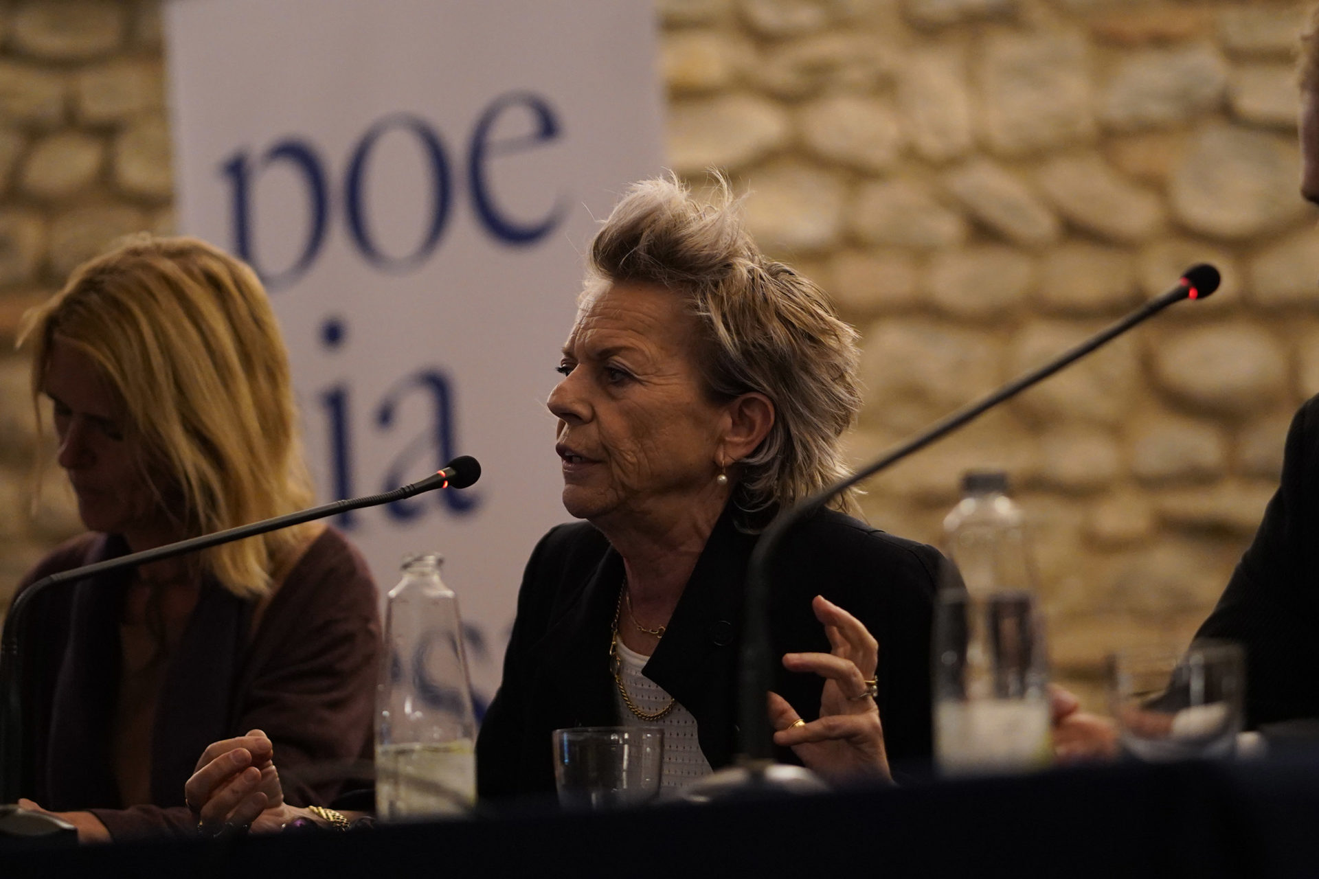 tu l’hai detto connie palmen vignola poesia festival 2019 modena 5