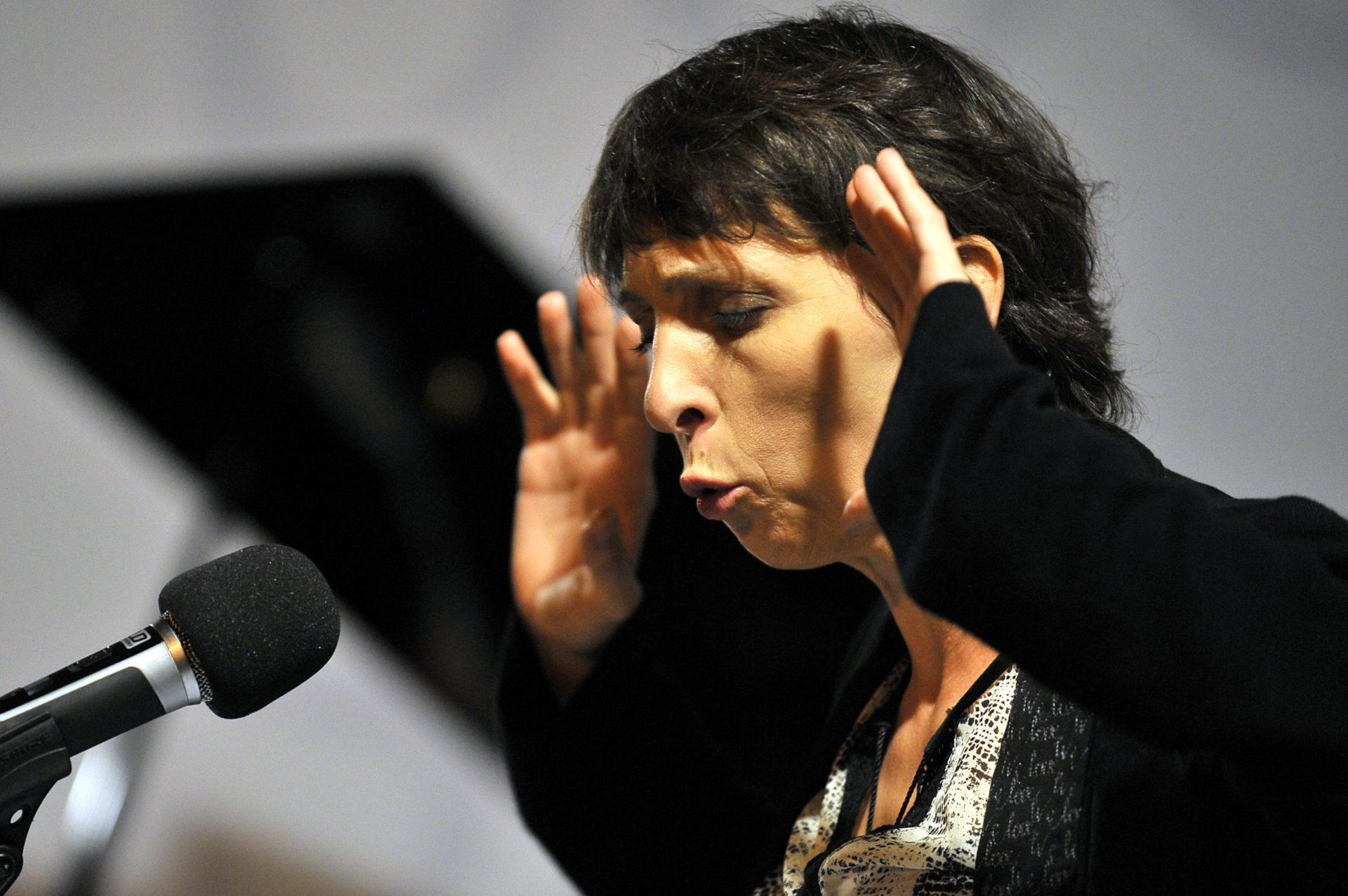 diana manea la notte la luna la poesia chiarli castelvetro di modena poesia festival 20 7 diana manea la notte la luna la poesia chiarli castelvetro di modena poesia festival 20 7