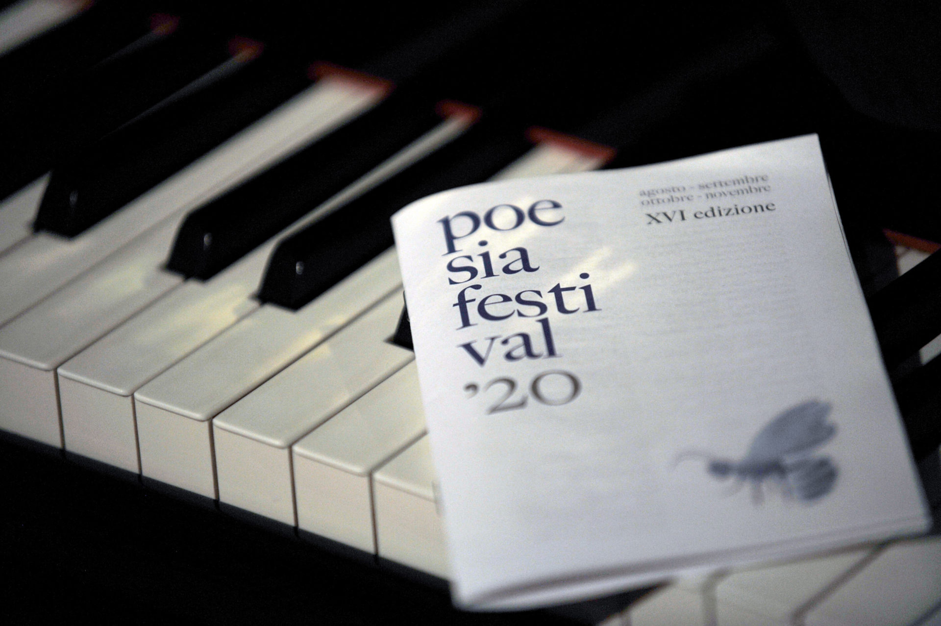 la notte la luna la poesia chiarli castelvetro di modena poesia festival 20 2 la notte la luna la poesia chiarli castelvetro di modena poesia festival 20 2
